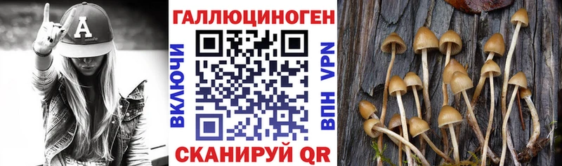 наркота  Суровикино  Псилоцибиновые грибы MAGIC MUSHROOMS 