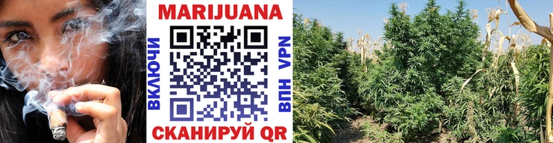 Каннабис VHQ  МЕГА маркетплейс  Суровикино 